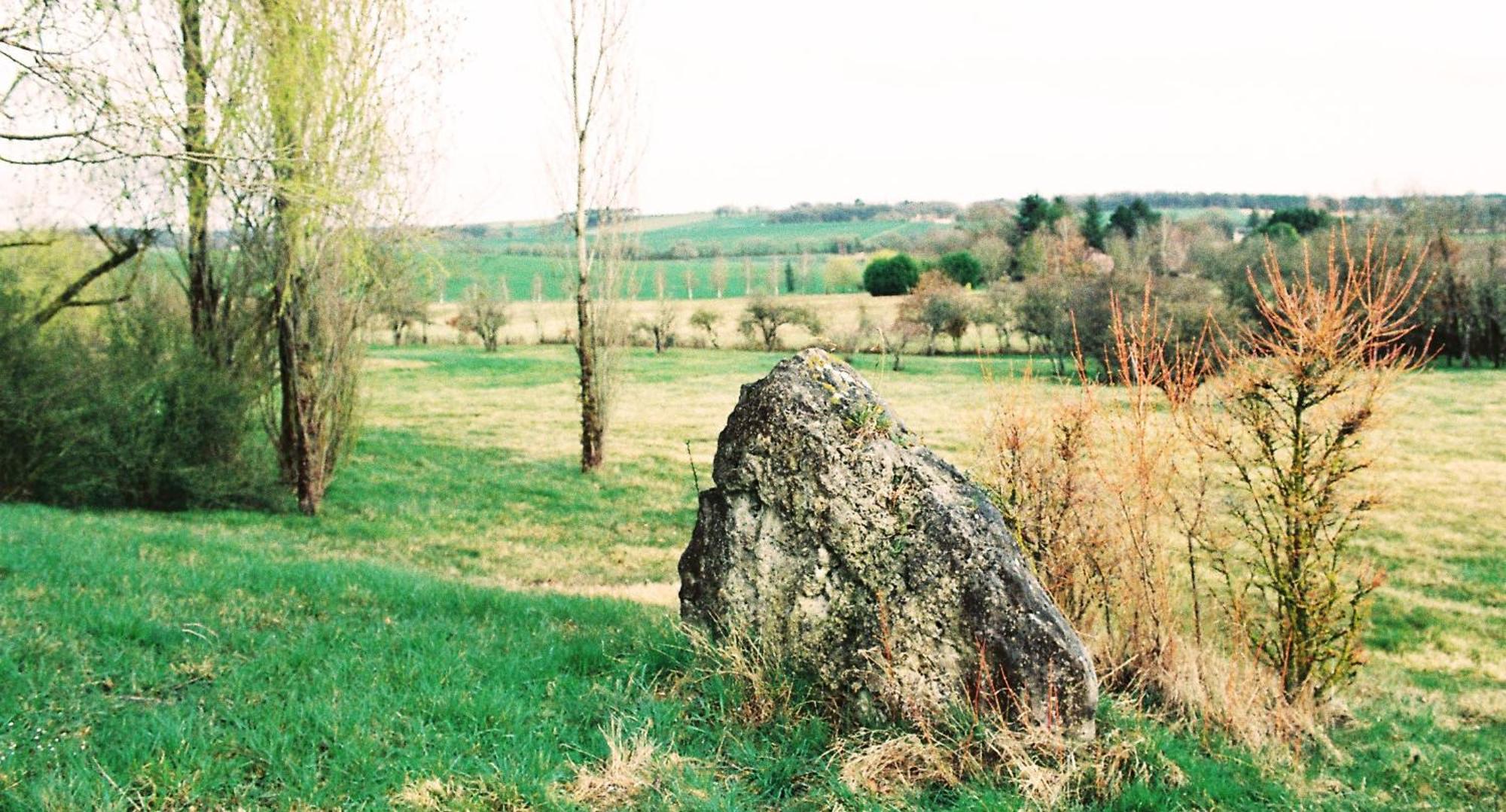 Bed and Breakfast Les Bertaulieres Bossay-sur-Claise Esterno foto